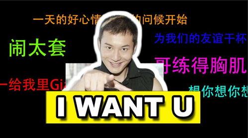 土味视频制作,揭秘乡村风潮背后的魅力与笑点