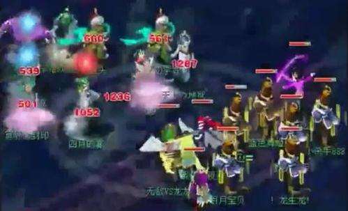 五龙队视频,精彩瞬间回顾与团队风采展现