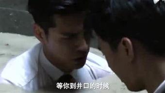 叨黑视频,深度解析网络舆论背后的真相