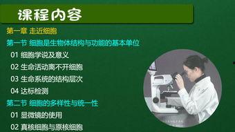 生物课程视频,探索生命奥秘之旅